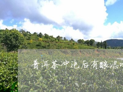 普洱茶冲泡后有酸涩味/2023080228472