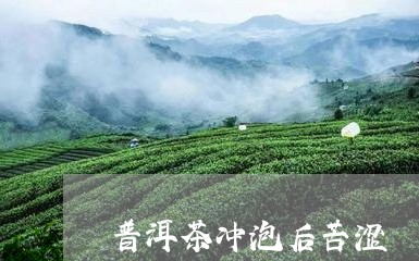 普洱茶冲泡后苦涩/2023120424139