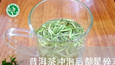 普洱茶冲泡后都是碎末/2023062739393