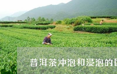 普洱茶冲泡和浸泡的区别/2023122099482