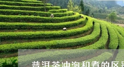 普洱茶冲泡和煮的区别/2023061806252