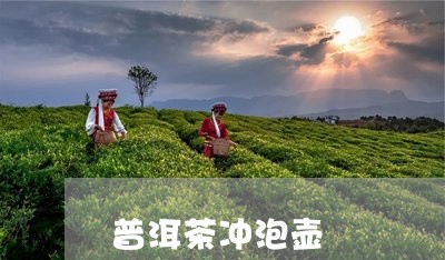 普洱茶冲泡壶/2023042637736