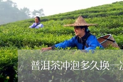 普洱茶冲泡多久换一次茶叶/2023082884837