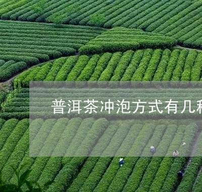 普洱茶冲泡方式有几种图片/2023121600594