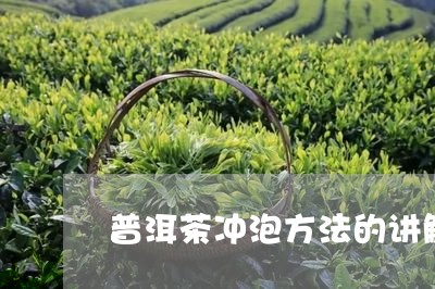 普洱茶冲泡方法的讲解/2023080239725