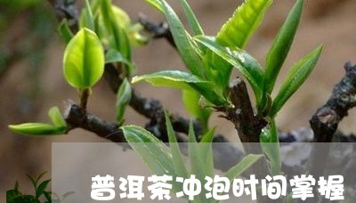 普洱茶冲泡时间掌握/2023091469382