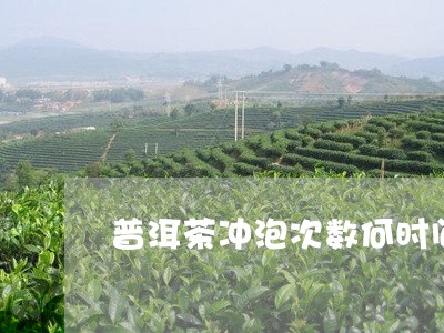 普洱茶冲泡次数何时间/2023062502694