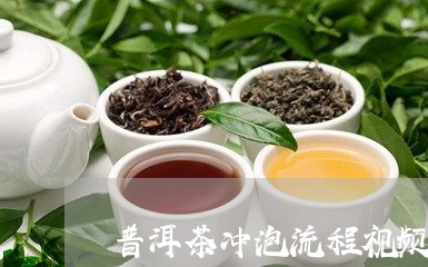 普洱茶冲泡流程视频讲解/2023121660371