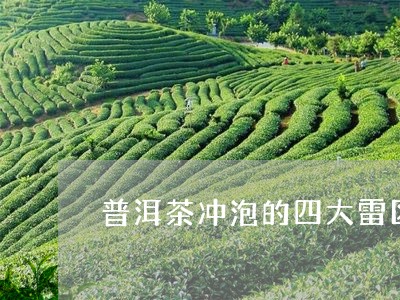 普洱茶冲泡的四大雷区/2023120718159