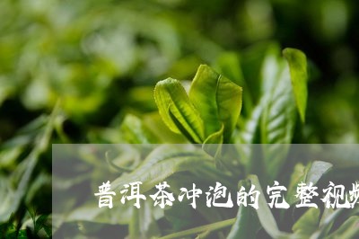 普洱茶冲泡的完整视频/2023080309713