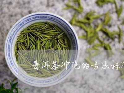 普洱茶冲泡的方法标准/2023080132836