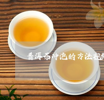 普洱茶冲泡的方法视频/2023100827583