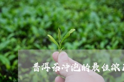 普洱茶冲泡的最佳浓度/2023100651513