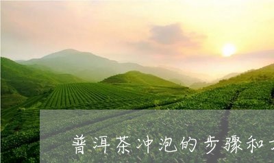 普洱茶冲泡的步骤和方法/2023050602815