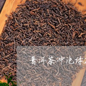 普洱茶冲泡绿茶/2023120342684