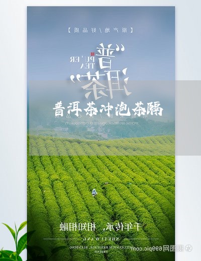 普洱茶冲泡茶隔/2023101611138