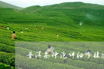 普洱茶冲泡详细步骤图/2023111005830