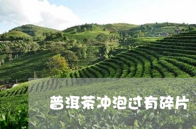 普洱茶冲泡过有碎片/2023120513816