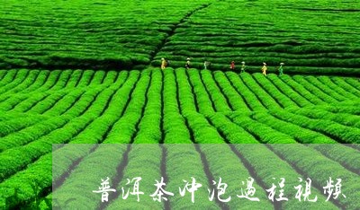 普洱茶冲泡过程视频/2023071170793