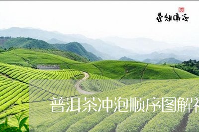 普洱茶冲泡顺序图解视频/2023082744835