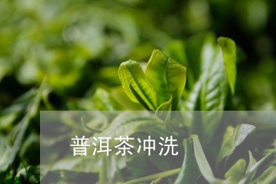 普洱茶冲洗/2023090569683