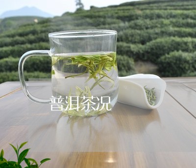 普洱茶况/2023090140494