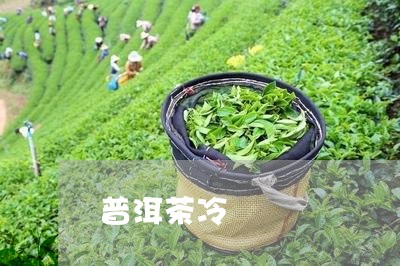 普洱茶冷/2023083194614