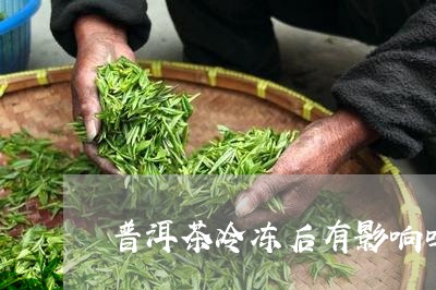 普洱茶冷冻后有影响吗/2023073115147