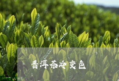 普洱茶冷变色/2023042727595