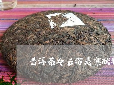 普洱茶冷后浑是絮状物/2023092793939