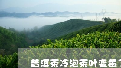 普洱茶冷泡茶叶变黄了怎么办/2023082999405