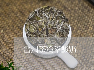 普洱茶冷萃酸奶/2023110693725