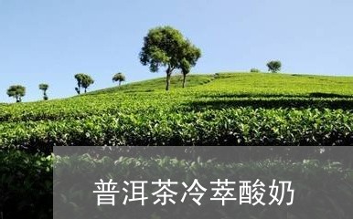 普洱茶冷萃酸奶/2023121668150