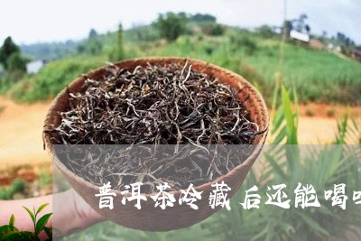 普洱茶冷藏后还能喝吗/2023062268383