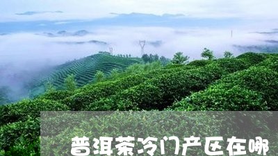 普洱茶冷门产区在哪/2023071131503