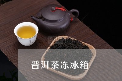 普洱茶冻冰箱/2023042885548