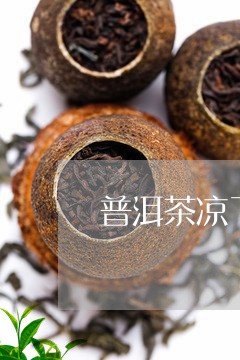 普洱茶凉了可以喝的/2023120541624