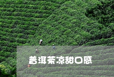 普洱茶凉甜口感/2023102671737