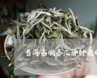 普洱茶凋萎几分钟最好/2023092994938