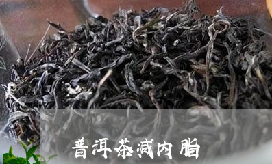 普洱茶减内脂/2023042788382