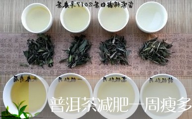 普洱茶减肥一周瘦多少/2023062972705