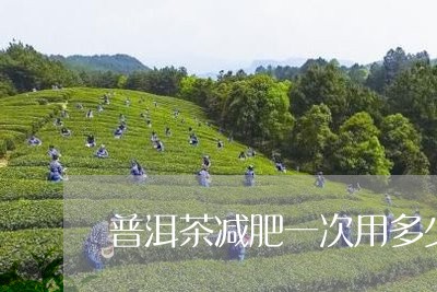 普洱茶减肥一次用多少/2023061639737