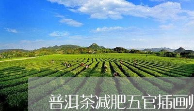 普洱茶减肥五官插画师/2023063012725