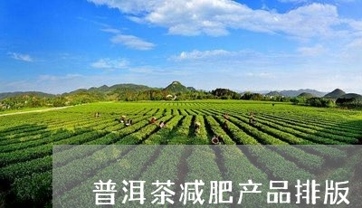 普洱茶减肥产品排版/2023070841625