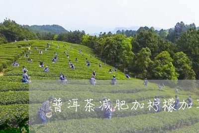 普洱茶减肥加柠檬加苹果/2023122030713