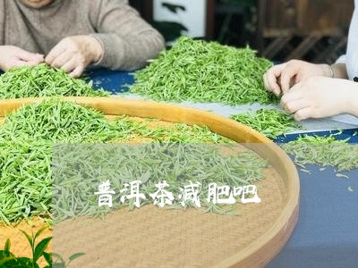 普洱茶减肥吧/2023042899671