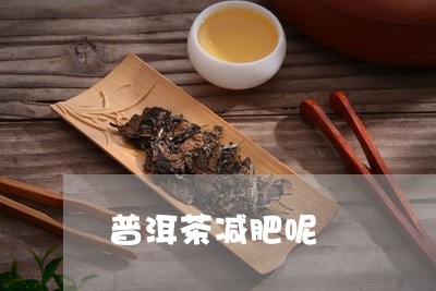 普洱茶减肥呢/2023042840303