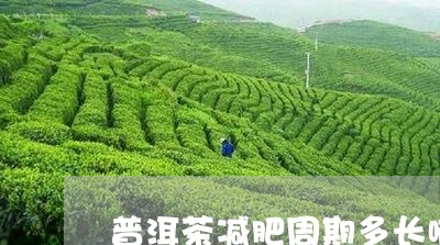 普洱茶减肥周期多长啊/2023110306149