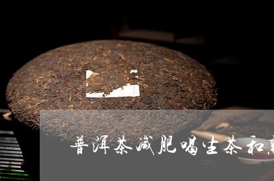 普洱茶减肥喝生茶和熟茶/2023121607069