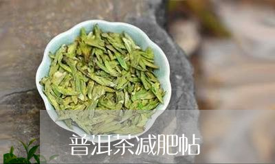 普洱茶减肥帖/2023042709936